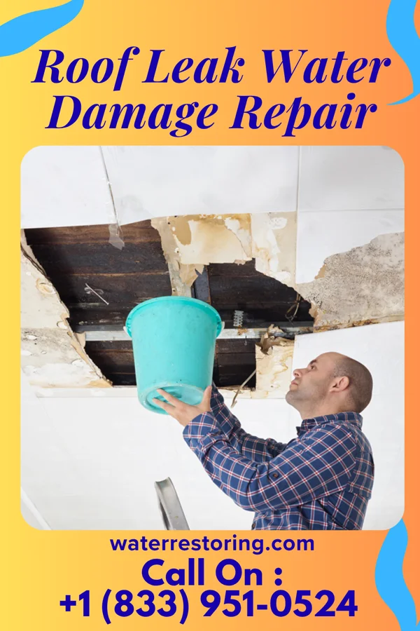 Roof Leak Water Damage Repair in Fulton, WI