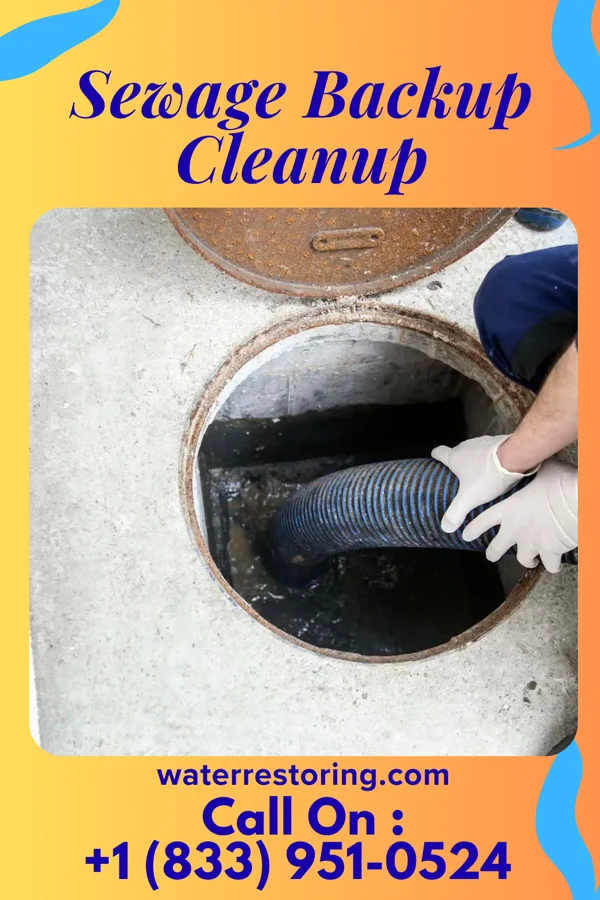 Sewage Backup Cleanup in Fulton, WI